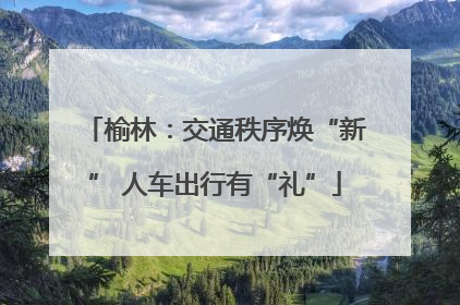 榆林：交通秩序焕“新” 人车出行有“礼”