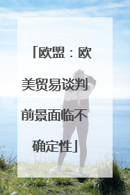 欧盟：欧美贸易谈判前景面临不确定性