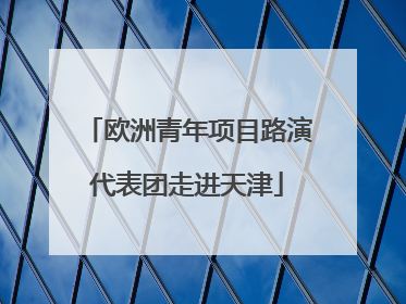 欧洲青年项目路演代表团走进天津