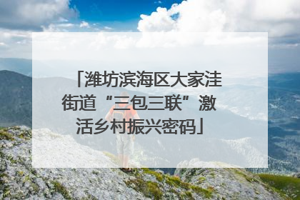 潍坊滨海区大家洼街道“三包三联”激活乡村振兴密码
