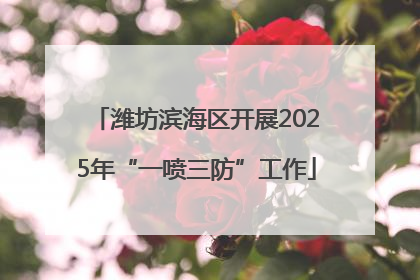 潍坊滨海区开展2025年“一喷三防”工作