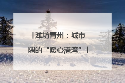 潍坊青州：城市一隅的“暖心港湾”