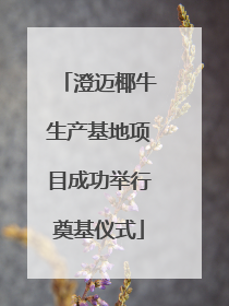 澄迈椰牛生产基地项目成功举行奠基仪式
