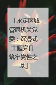 永定区城管局机关党委：沉浸式主题党日 筑牢党性之基