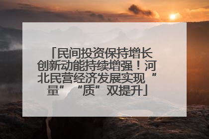 民间投资保持增长 创新动能持续增强！河北民营经济发展实现“量”“质”双提升