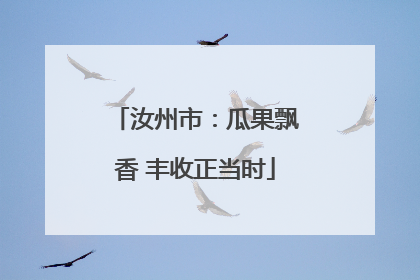 汝州市：瓜果飘香 丰收正当时