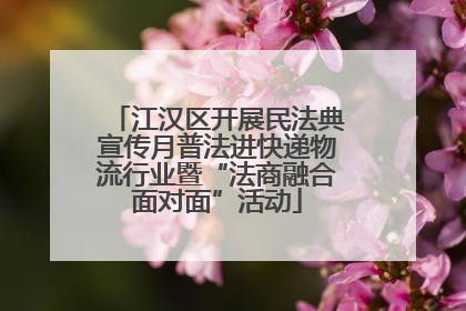 江汉区开展民法典宣传月普法进快递物流行业暨“法商融合面对面”活动