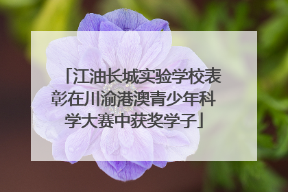 江油长城实验学校表彰在川渝港澳青少年科学大赛中获奖学子