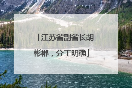 江苏省副省长胡彬郴，分工明确