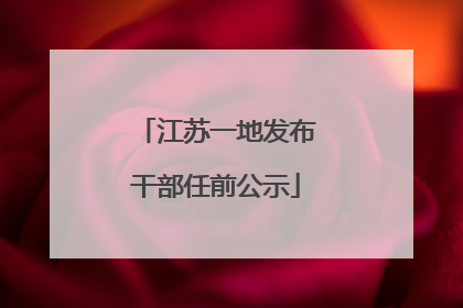 江苏一地发布干部任前公示