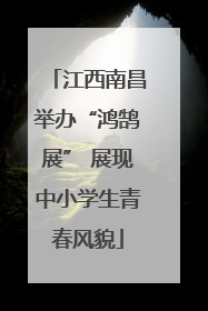 江西南昌举办“鸿鹄展” 展现中小学生青春风貌
