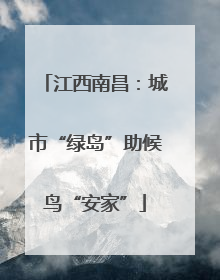 江西南昌：城市“绿岛”助候鸟“安家”
