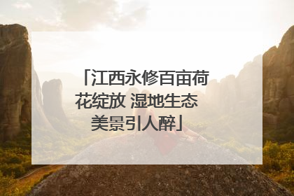 江西永修百亩荷花绽放 湿地生态美景引人醉