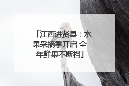 江西进贤县：水果采摘季开启 全年鲜果不断档
