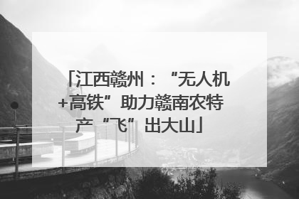 江西赣州：“无人机+高铁”助力赣南农特产“飞”出大山