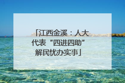 江西金溪：人大代表“四进四助”解民忧办实事