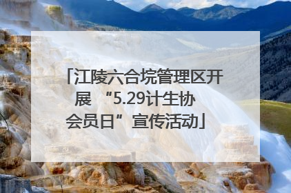 江陵六合垸管理区开展 “5.29计生协会员日”宣传活动