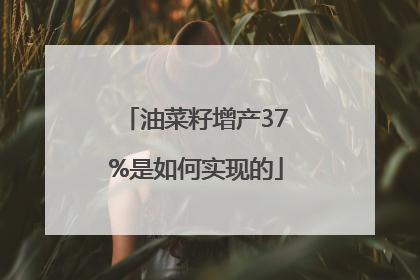 油菜籽增产37%是如何实现的