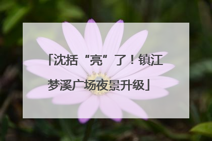 沈括“亮”了！镇江梦溪广场夜景升级