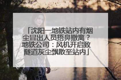 沈阳一地铁站内有烟尘冒出人员捂鼻撤离？地铁公司：风机开启致隧道灰尘飘散至站内