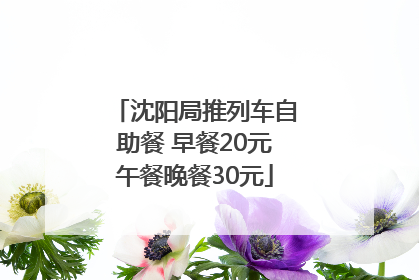 沈阳局推列车自助餐 早餐20元午餐晚餐30元