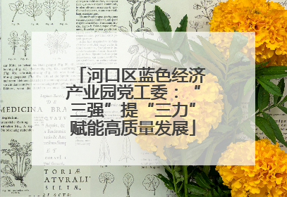 河口区蓝色经济产业园党工委：“三强”提“三力”赋能高质量发展