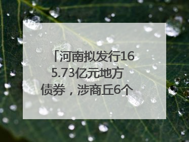 河南拟发行165.73亿元地方债券，涉商丘6个项目……