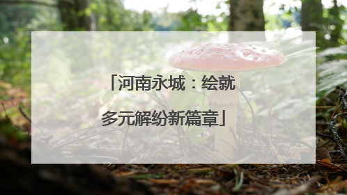 河南永城：绘就多元解纷新篇章