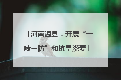河南温县：开展“一喷三防”和抗旱浇麦