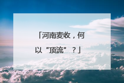 河南麦收，何以“顶流”？