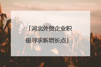 河北外贸企业积极寻求新增长点