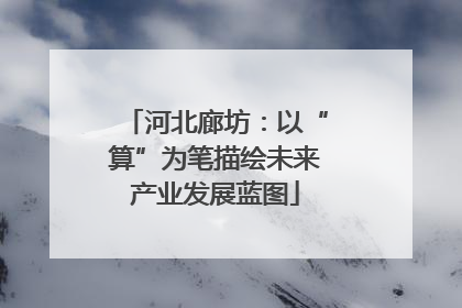 河北廊坊：以“算”为笔描绘未来产业发展蓝图