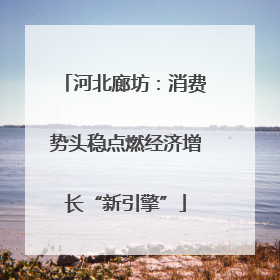 河北廊坊：消费势头稳点燃经济增长“新引擎”