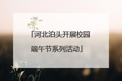 河北泊头开展校园端午节系列活动