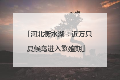 河北衡水湖：近万只夏候鸟进入繁殖期