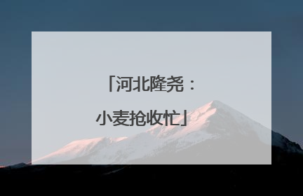 河北隆尧：小麦抢收忙