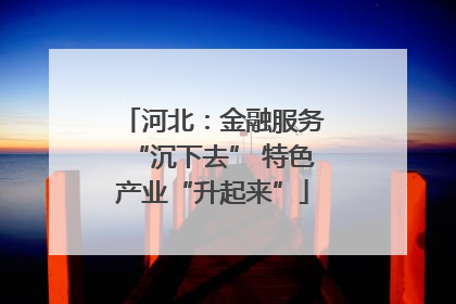 河北：金融服务“沉下去” 特色产业“升起来”