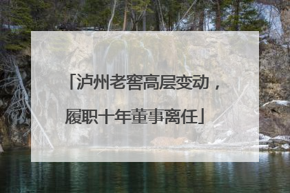 泸州老窖高层变动，履职十年董事离任