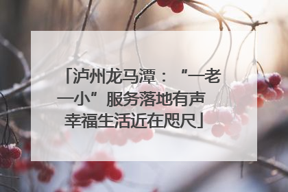 泸州龙马潭：“一老一小”服务落地有声 幸福生活近在咫尺