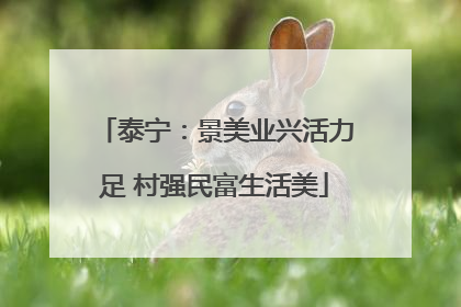 泰宁：景美业兴活力足 村强民富生活美