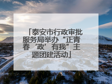 泰安市行政审批服务局举办“正青春‘政’有我”主题团建活动