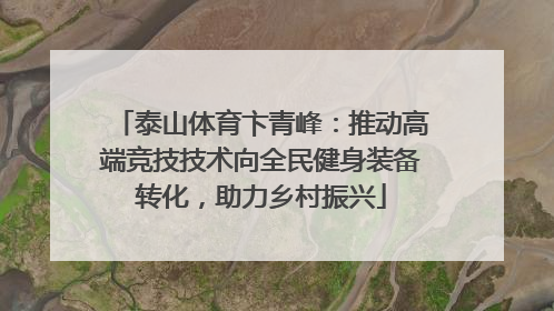 泰山体育卞青峰：推动高端竞技技术向全民健身装备转化，助力乡村振兴