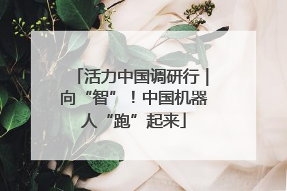 活力中国调研行｜向“智”！中国机器人“跑”起来