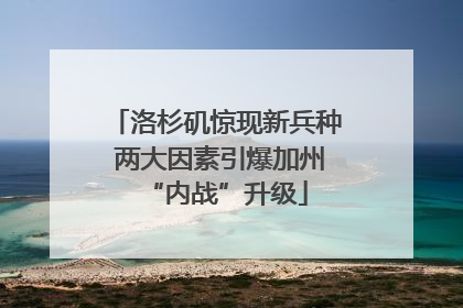 洛杉矶惊现新兵种 两大因素引爆加州“内战”升级