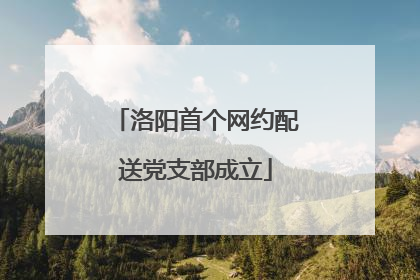 洛阳首个网约配送党支部成立