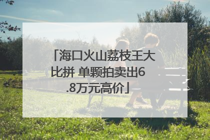 海口火山荔枝王大比拼 单颗拍卖出6.8万元高价