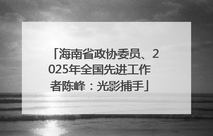 海南省政协委员、2025年全国先进工作者陈峰：光影捕手