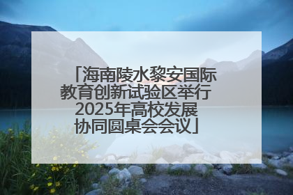 海南陵水黎安国际教育创新试验区举行2025年高校发展协同圆桌会会议