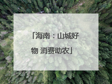 海南：山城好物 消费助农