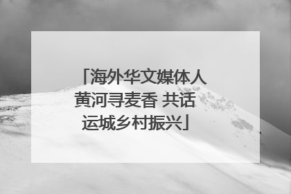 海外华文媒体人黄河寻麦香 共话运城乡村振兴